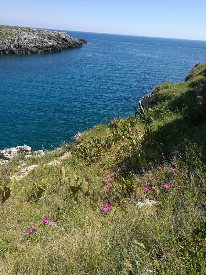 Badisco Vacanze Otranto Zewnętrze zdjęcie